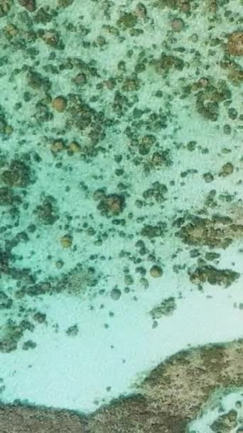 Διαφανές Τυρκουάζ Θαλασσινό Νερό Πάνω Από Τους Κοραλλιογενείς Υφάλους Θαλασσοπόρος — Αρχείο Βίντεο