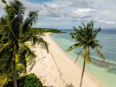 Romblon, Carabao Adası 'ndaki sahil ve hindistan cevizi palmiyeleri. Mavi gökyüzü ve bulutlar. Filipinler.