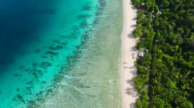 Beyaz kumlu sahil şeridi ve hindistan cevizi ağaçları. Logbon Adası. Romblon, Filipinler.