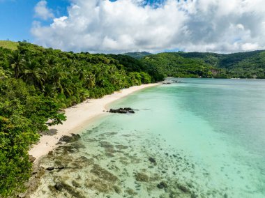Hindistan cevizi ağaçları ve beyaz kumsallı sahil şeridi. Romblon Adası 'nda turkuaz deniz suyu. Romblon, Filipinler.