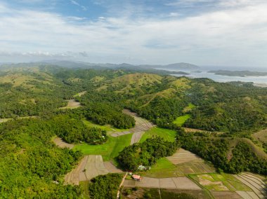 Yeşil tepeler ve çeltik tarlaları, hava manzarası. Santa Fe, Tablas, Romblon. Filipinler.