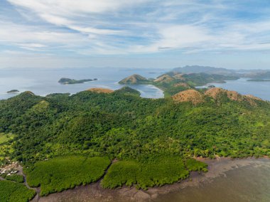 Uson Adası 'ndaki yeşil orman ve bitkilerin manzarası. Lajala, Coron. Palawan 'da. Filipinler.