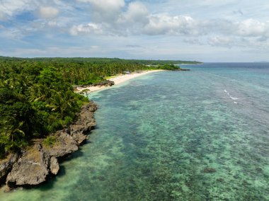 Beyaz sahil ve turkuaz deniz suyu ve mercan resifleri. Carabao Adası. San Jose. Romblon, Filipinler.