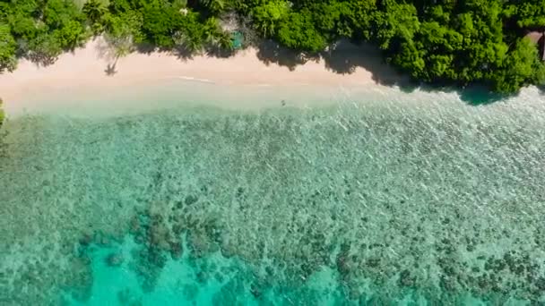 Top View Clear Water Corals Talipasak Beach Resort Sun Reflection — Stock Video