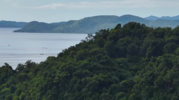 Paysages Tropicaux Arbres Verts Plantes Sur Île Tropicale Philippines — Video