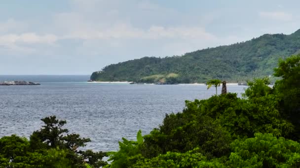 Plantas Árvores Mar Azul Ilha Cobrador Romblon Filipinas — Vídeo de Stock