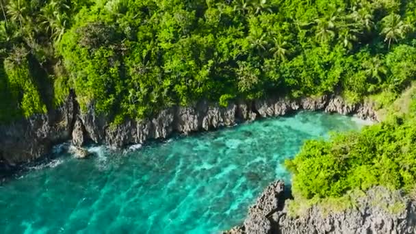 海浪与碧绿的海水和珊瑚一起冲击着岩石海岸 圣何塞岛 Romblon 菲律宾 — 图库视频影像
