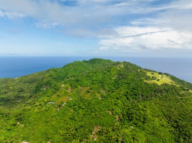 Cobrador Adası 'nda yeşil bitki ve ağaçlarla kaplı bir dağ manzarası. Romblon, Filipinler.