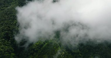 Bulutlar dağı ağaçlar ve ağaçlarla kapladı. Camiguin Adası. Filipinler.