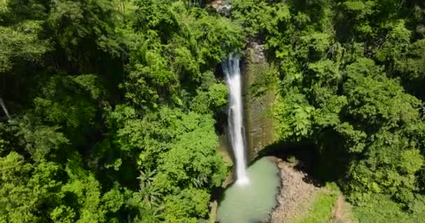 Vista Drone Água Indo Para Piscina Mergulho Verde Alalum Falls — Vídeo de Stock