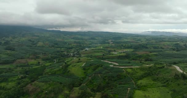 Tropische Landschaft Berg Mit Bananenplantage Und Grüner Vegetation Mindanao Philippinen — Stockvideo