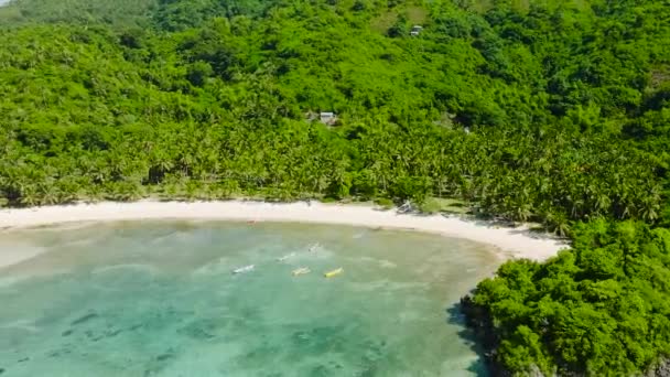 Cobrador Island Met Groene Bomen Wit Zandstrand Romblon Filipijnen — Stockvideo