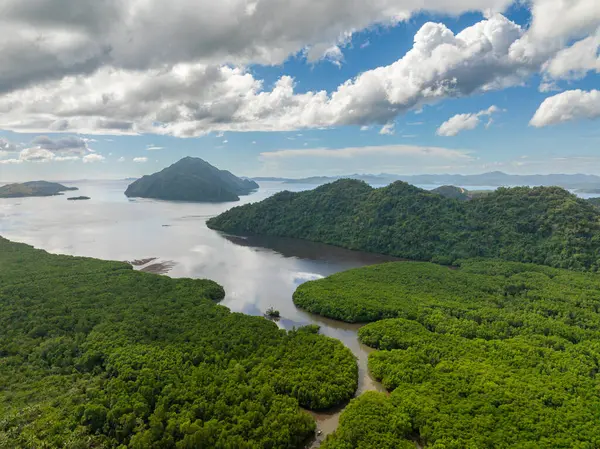 Sangat Adası ve Bintuan Mangrove Parkı. Mavi gökyüzü ve bulutlar. Coron, Palawan. Filipinler.