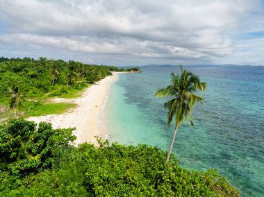 Temiz su dalgaları olan tropik bir sahil. Hindistan cevizi ağaçları kıyı şeridinde. Carabao Adası. San Jose, Romblon. Filipinler.