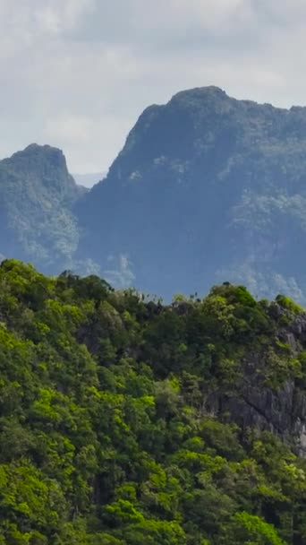 Tropical Islands Cliffs Surrounded Blue Sea Nido Palawan Philippines Vertical — Stock Video