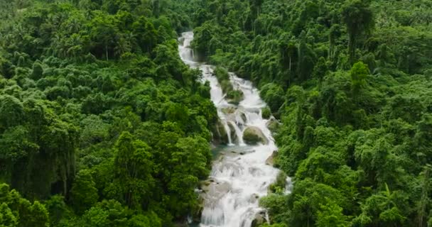 Tropisk Skog Med Vattenfall Aliwagwag Falls Mindanao Filippinerna — Stockvideo