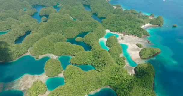 Pohled Pobřežní Pláž Zátoce Sohoton Seascape Bucas Grande Island Mindanao — Stock video