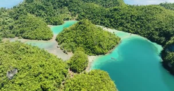 Τροπικό Νησάκι Που Περιβάλλεται Από Τυρκουάζ Λιμνοθάλασσα Και Λόφους Mindanao — Αρχείο Βίντεο
