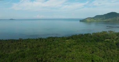 Mindanao kıyılarında yağmur ormanları ve hindistan cevizi ağaçları var. Filipinler.