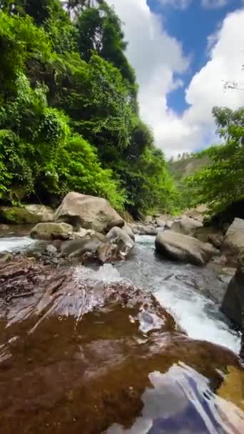 Fresh Water Flowing Rocks Mountain River Camiguin Island Philippines Vertical — Stock Video