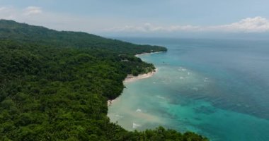 Yeşil ormanın yemyeşil olduğu tropik adanın havadan görünüşü. Kıyıdaki okyanus dalgaları ve gök mavisi su. Samal, Davao. Filipinler.
