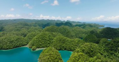 Sohoton Koyu 'ndaki adalar ve yeşilimsi gölcükler. Surigao del Norte. Filipinler.