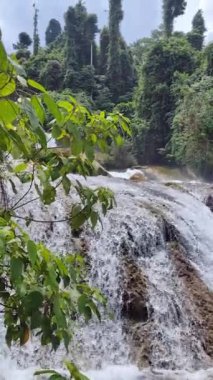 Kayaların üzerinden çağlayan su. Aliwagwag Şelalesi. Mindanao, Filipinler. Dikey görünüm.