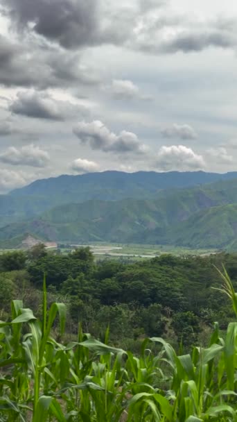 Montaña Tropical Con Verdes Colinas Riberas Mindanao Filipinas Vista Vertical — Vídeo de stock
