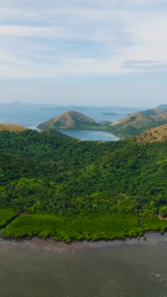 ウソン島の緑の森と植物の風景 ラガラ コロン パラワン フィリピン 垂直ビュー — ストック動画