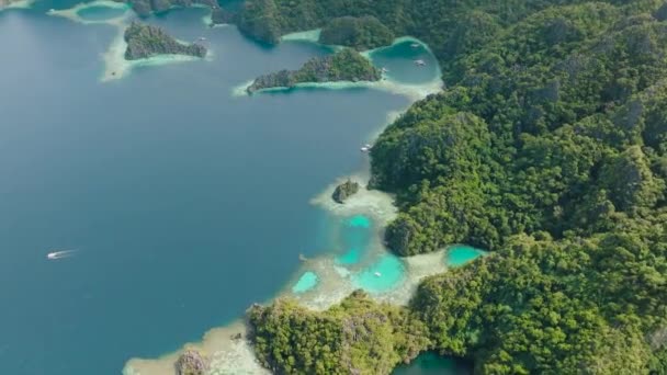 Bela Vista Lagoas Com Corais Barcos Coron Palawan Filipinas — Vídeo de Stock