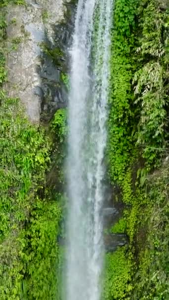 滝からの水の美しいスプラッシュ カティバワサンフォールズ カミーギン島 フィリピン バーティカルビデオ — ストック動画