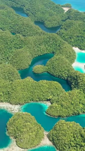 Composição Natural Floresta Tropical Piscinas Lagoa Corais Água Mar Límpida — Vídeo de Stock