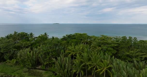 Grunty Rolne Polami Ryżowymi Wybrzeżu Wyspy Camiguin Filipiny — Wideo stockowe