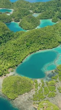 Tinago Adası 'ndaki lagünlerin dikey görüntüsü. Turkuaz suyu olan güzel bir sahil. Surigao del Norte, Mindanao, Filipinler.