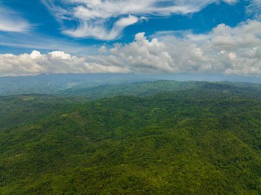 Yeşil ağaçlı tropik dağ yamaçları. Mavi gökyüzü ve bulutlar. Mindanao, Filipinler.