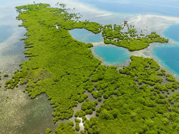 Vista Aérea Manglares Laguna Con Agua Turquesa Mindanao Filipinas —  Fotos de Stock