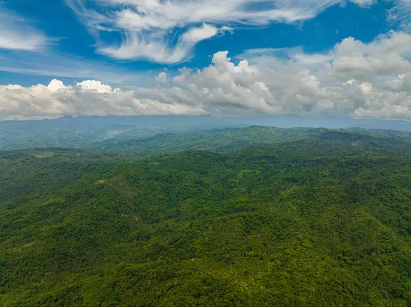 Pendientes Montañas Tropicales Con Árboles Verdes Cielo Azul Nubes Mindanao —  Fotos de Stock
