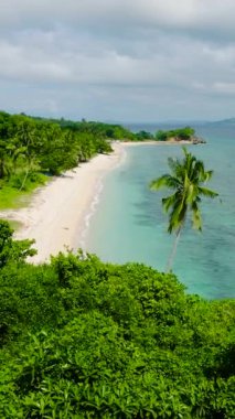 Yeşil deniz suyu ve mercanları olan güzel beyaz kumsal. Carabao Adası. San Jose, Romblon. Filipinler. Dikey görünüm.