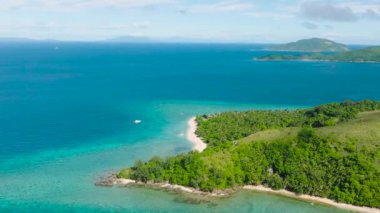 Yeşil deniz suyu ve mercanları olan tropik bir sahil. Logbon Adası. Romblon, Romblon. Filipinler.