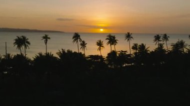 Hindistan cevizi ağaçları ve denizin üzerinde güzel bir günbatımı. Santa Fe, Tablas, Romblon. Filipinler.