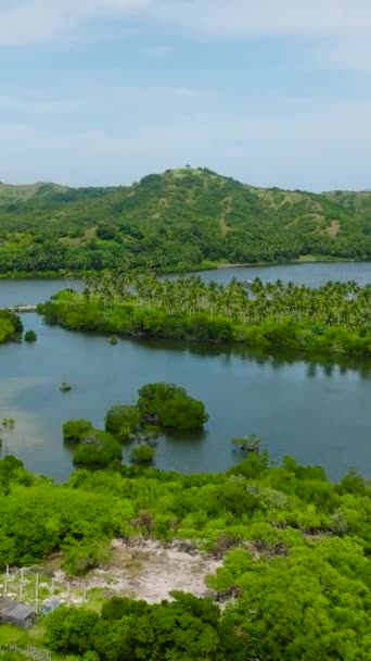 在圣达菲 塔布拉斯 隆布隆 有农业湖和高山 还有椰子树 菲律宾 纵向观点 — 图库视频影像