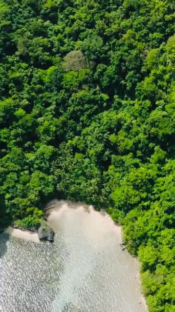 Playa Isla Cadlao Árboles Verdes Sobre Isla Nido Palawan Filipinas — Vídeos de Stock