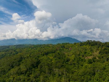 Manzarası: dağ yamaçları yağmur ormanları ve ormanlarla kaplı. Mindanao, Filipinler.