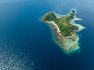 Sahil şeridi ve turkuaz su. Coron, Palawan 'daki Dimanglet Adası. Filipinler.