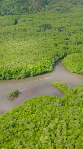 マングローブの木と沿岸湿地 茶色の水の上を走るボート コロン パラワン フィリピン 垂直ビュー — ストック動画