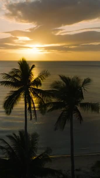 Tropikalna Sceneria Drzew Kokosowych Zachodem Słońca Tle Plaży Santa Tablas — Wideo stockowe