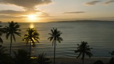 Denizin üzerinde gün batımı, hindistan cevizi ağaçlarının arkasını görmek. Santa Fe, Tablas, Romblon. Filipinler.