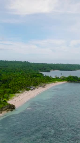卡拉巴岛的白色沙滩和绿林 圣何塞 隆布隆 菲律宾 纵向观点 — 图库视频影像