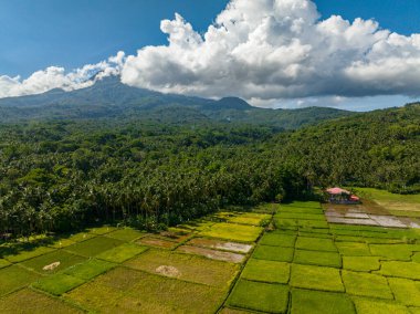 Camiguin Adası 'ndaki deniz kenarında pamuk helva bulutları oluşuyor. Kıyı şeridindeki dağ yamacı. Filipinler.