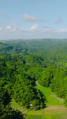 Tarım alanları ve tropikal adadaki yeşil orman. Santa Fe, Tablas, Romblon. Filipinler. Dikey görünüm.